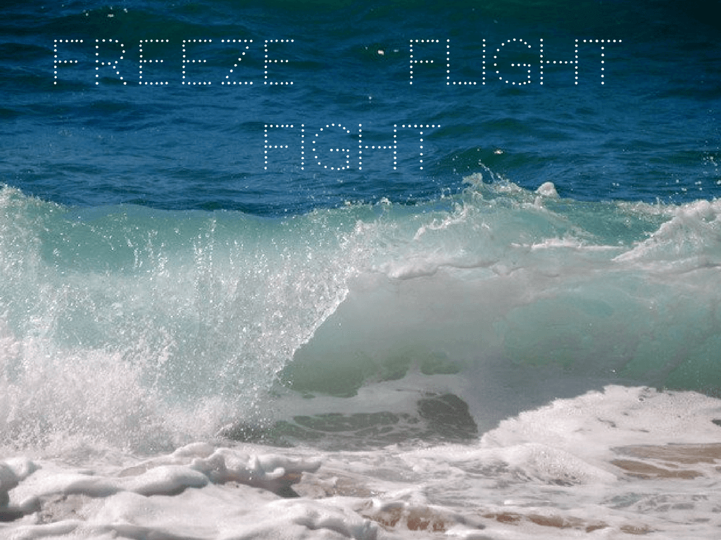 Freeze, flight or fight