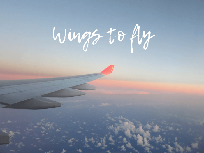 Wings to fly